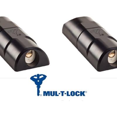 Antivol pour utilitaires armadlock mul t lock pack doule 1