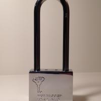 Cadenas Haute Sécurité Professionnelle MUL-T-LOCK  CAD-C10 REG anse C3