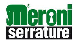 Meroni logo